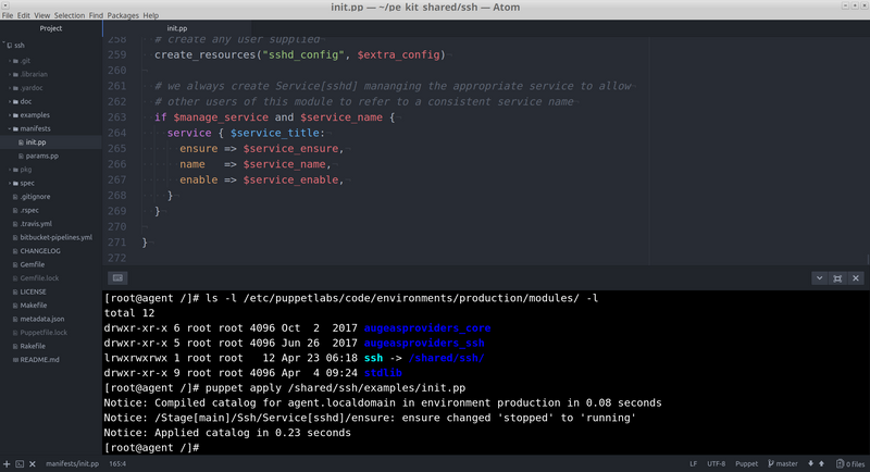 puppet TDD