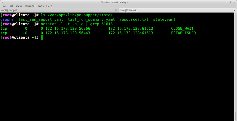 capture log 4